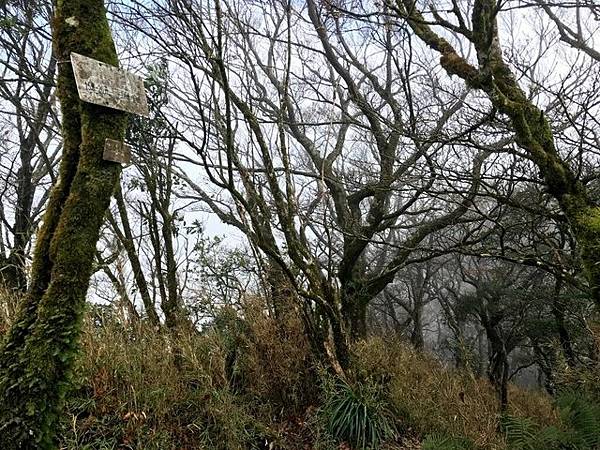 北插天山 (154).JPG