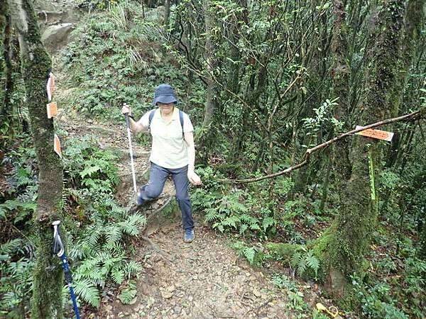 北插天山 (160).JPG