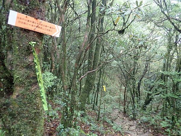 北插天山 (161).JPG