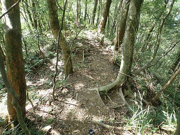 北插天山 (170).JPG