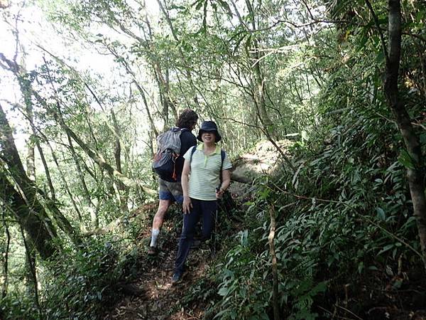 北插天山 (174).JPG