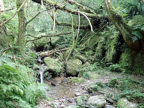 北插天山 (180).JPG