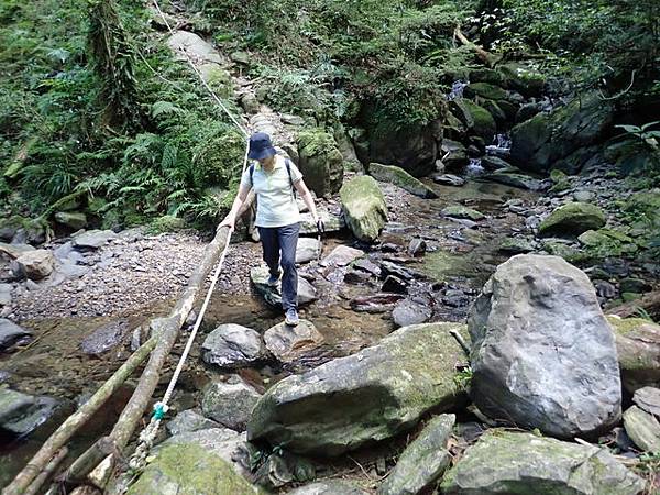 北插天山 (183).JPG