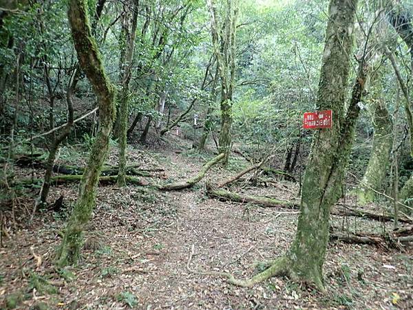 北插天山 (187).JPG