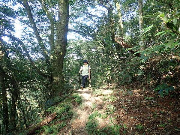 北插天山 (191).JPG