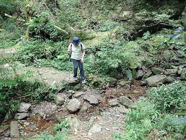 北插天山 (194).JPG