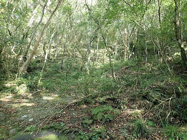 北插天山 (192).JPG