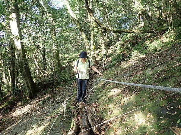 北插天山 (193).JPG