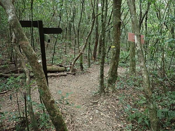 北插天山 (202).JPG