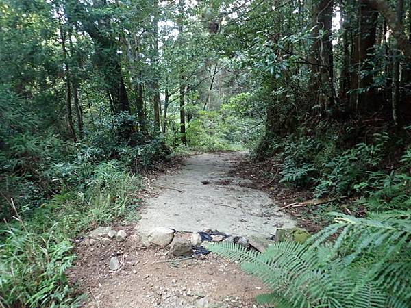 北插天山 (210).JPG