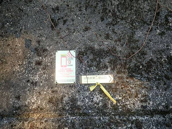 北插天山 (213).JPG