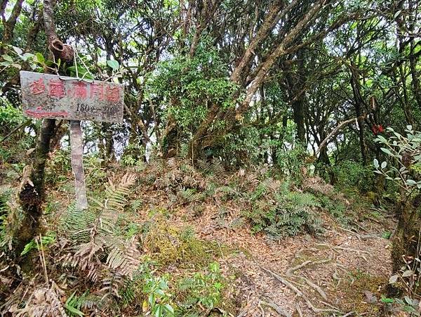 北插天山 (220).jpg