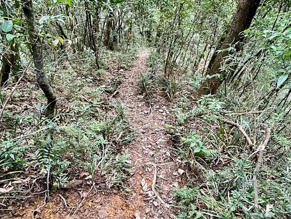 北插天山 (227).jpg