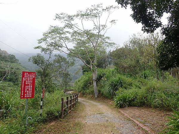 九份二山 (26).JPG