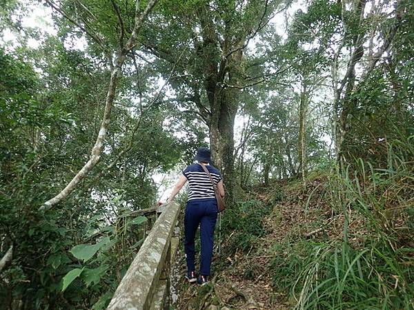 九份二山三角點 (26).JPG