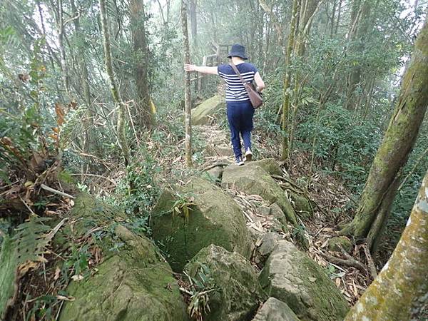 九份二山三角點 (54).JPG