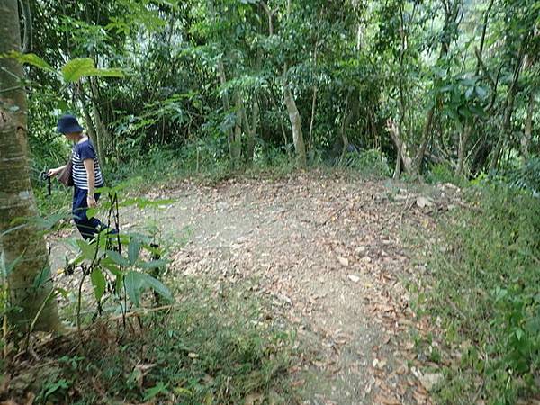 九份二山三角點 (82).JPG