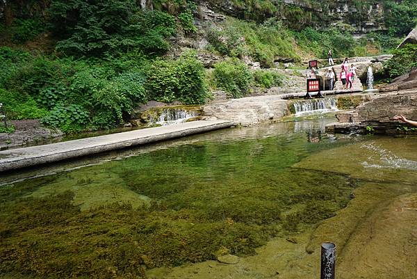 2015嵩山少林寺養生氣功交流大會