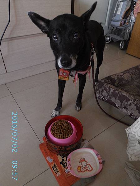 IMG_0011 IMG_0011