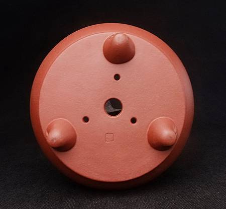 DSCF5440.jpg