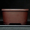 P1260090.JPG
