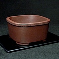 P1260093.JPG