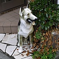 門前的小狗雕像