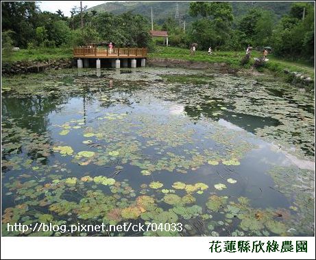 花蓮縣欣綠農園1.jpg