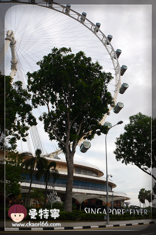 [新加坡自由行景點]Singapore Flyer摩天輪