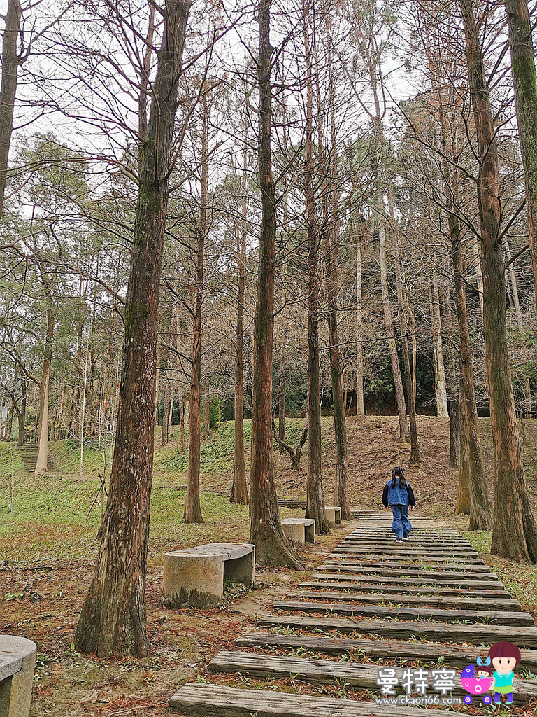 麻布山林