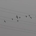 DSC_2458.JPG