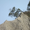 IMG_7990.JPG