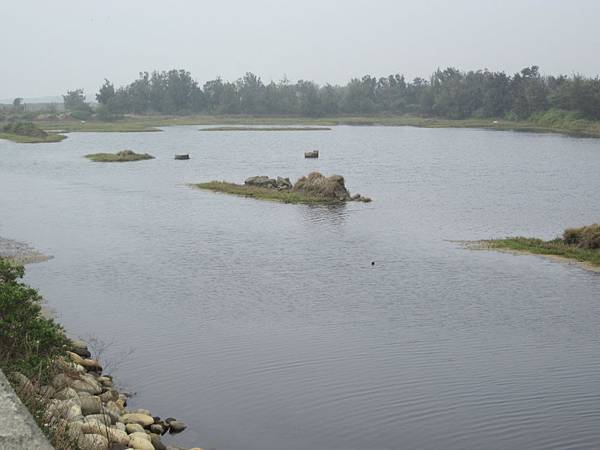 IMG_8149.JPG