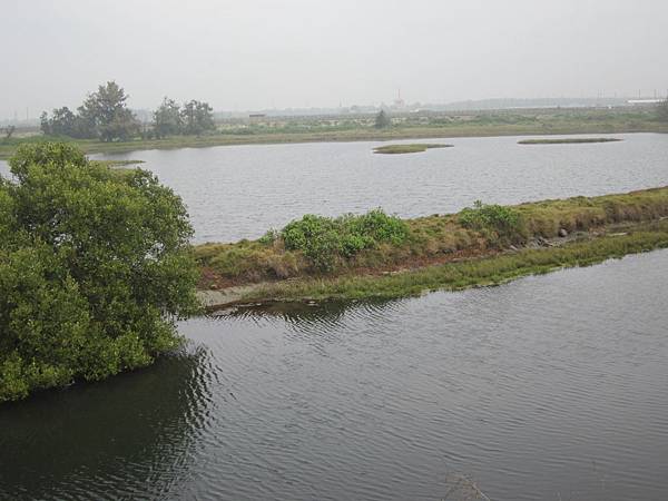 IMG_8150.JPG