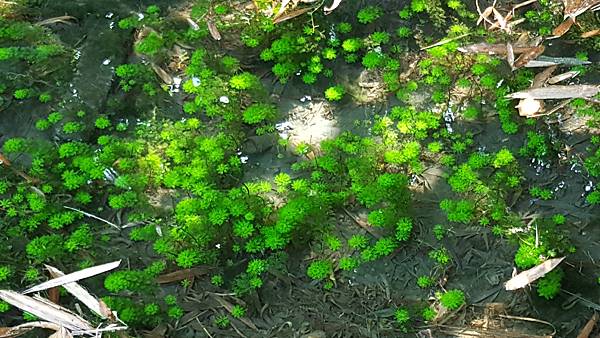 20171002_105000.jpg 20171002_105000.jpg
