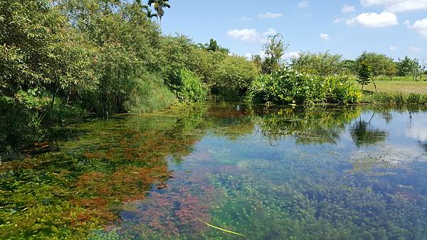 20171002_105653.jpg 20171002_105653.jpg