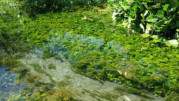 20171002_105945.jpg 20171002_105945.jpg