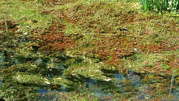 20171002_110115.jpg 20171002_110115.jpg