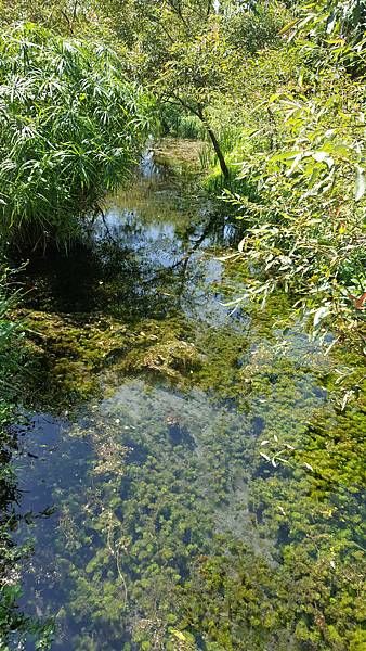20171002_110142.jpg 20171002_110142.jpg