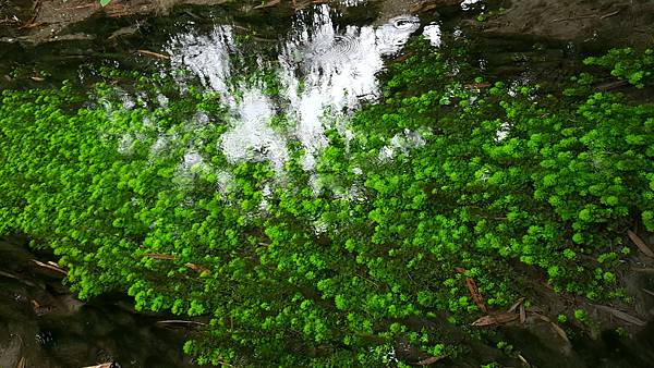 20171108_113708.jpg 20171108_113708.jpg