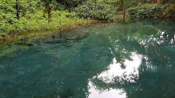 20171108_113934.jpg 20171108_113934.jpg