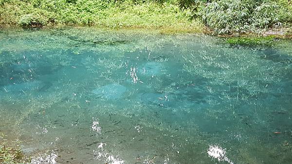 20171108_114006.jpg 20171108_114006.jpg