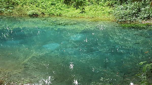 20171108_114040.jpg 20171108_114040.jpg