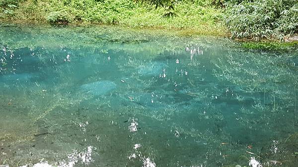 20171108_114102.jpg 20171108_114102.jpg