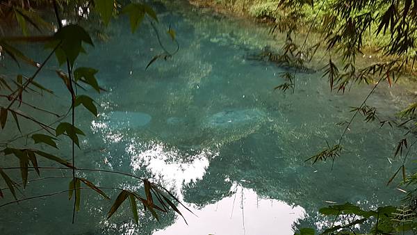 20171108_114124.jpg 20171108_114124.jpg
