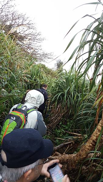 20171230_073911.jpg 20171230_073911.jpg