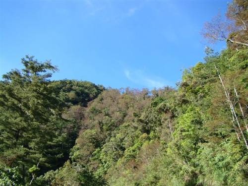264562.jpg 264562.jpg
