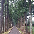 阿里山火車、荷蘭村、馬沙溝、新威森林_180911_0005.jpg