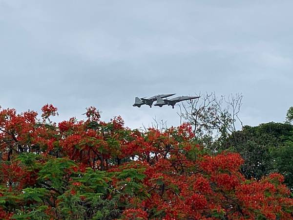 525-527戀戀火燒島_190527_0027.jpg