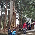 112-113阿里山森呼吸_190113_0075.jpg